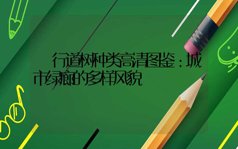  行道树种类高清图鉴：城市绿廊的多样风貌